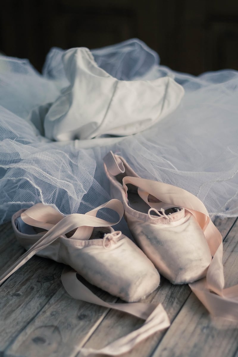 Ballet-Inspired Dance Fitness
